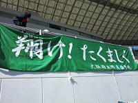 25suportsfesta1.JPG