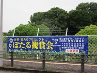 36.JPG