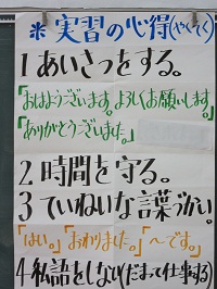 54.JPG