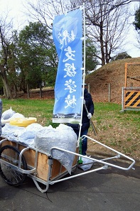 739.jpg