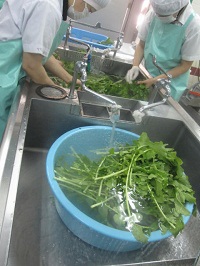 84tanebedaikon.JPG