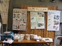 87.JPG