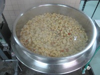88tanabedaikon.JPG