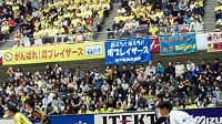 95sakaiblazers.jpg