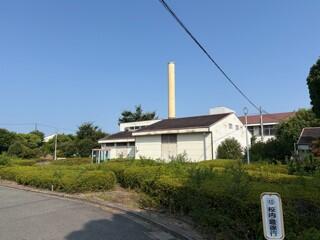桜の木②.jpg