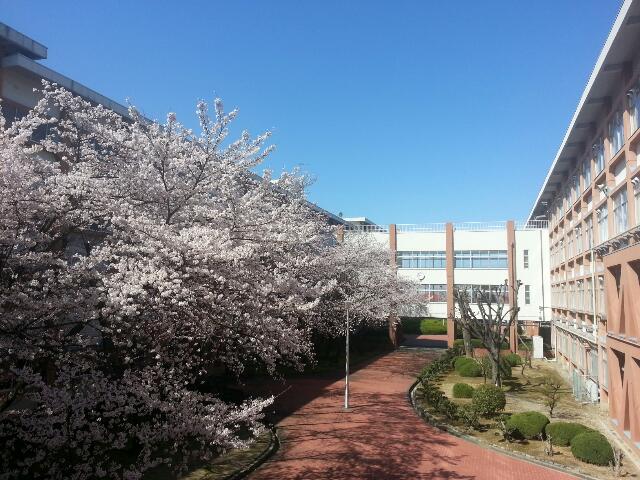 spring20140331_01.jpg