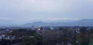 20201022_055546.jpg