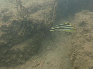 PA020114.JPG