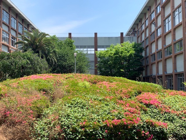 R040528土曜風景７