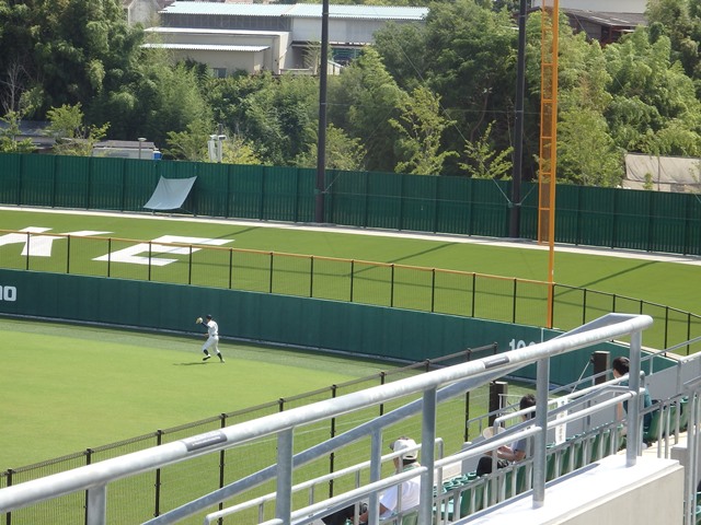 全国高校野球選手権大阪大会１２