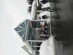 20130131_133224.jpg