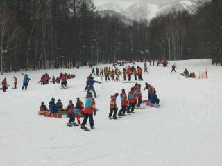 20130201_113857.jpg