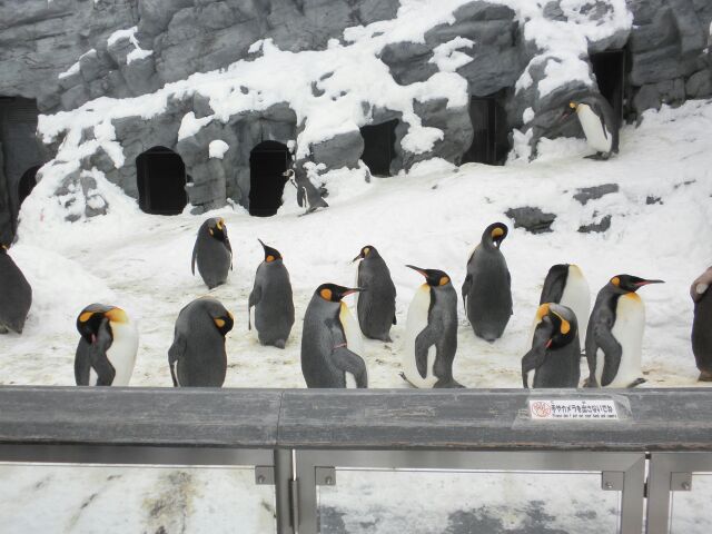 image_20130031155507.jpg