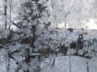 DSCF5246.jpg