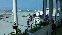 IMG_7959.JPG
