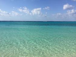 IMG_8030.JPG