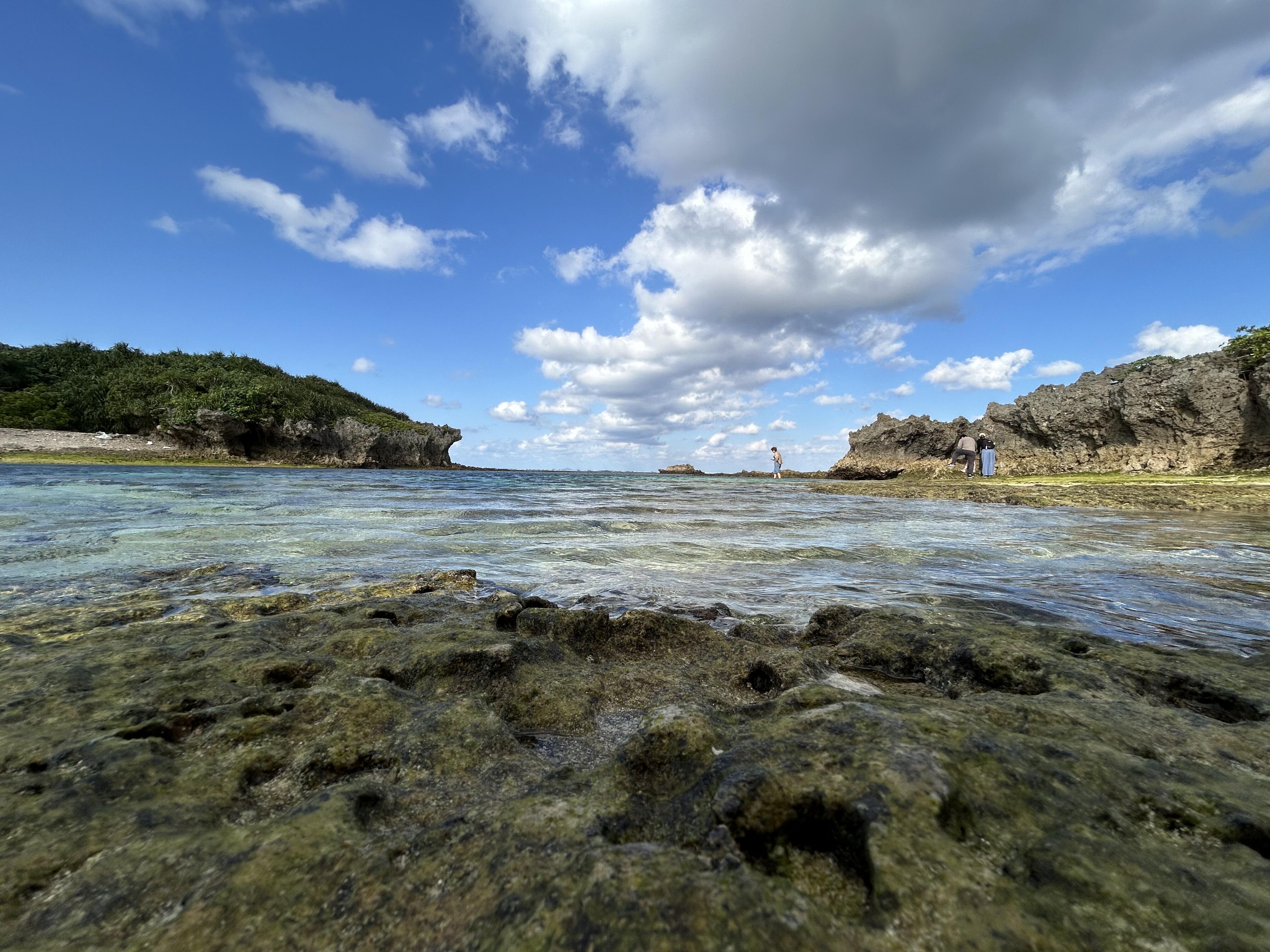 修学旅行2日目　写真（2025年1月20日（21_06））.jpg