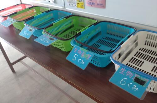 中間提出かご1.JPG