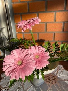 IMG_7377.jpg