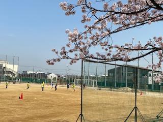 IMG_9875.jpg