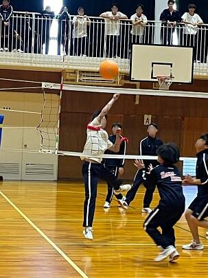 IMG_8660[1].jpg