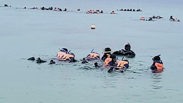 IMG_20230928_153834.jpg