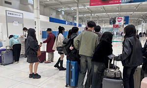 IMG_8791.jpeg