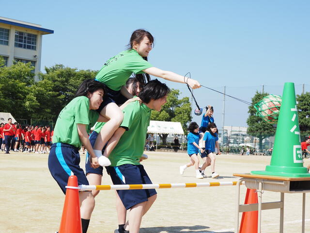 P6040443.JPG