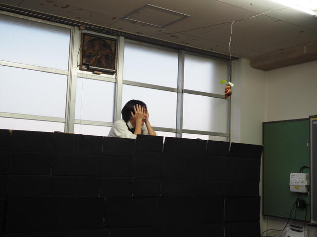 P9055731.JPG