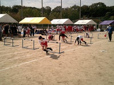 スポーツフェスタ (9).jpg