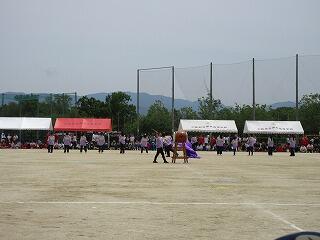 IMG_0029.jpg