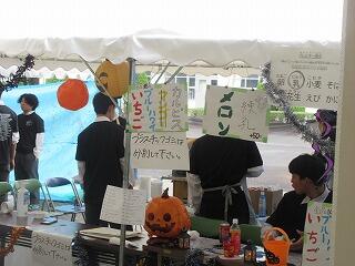 IMG_0133.jpg