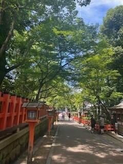 kyoto3.jpg