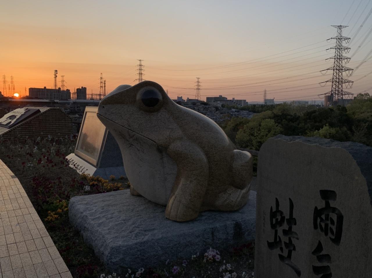 DB1514EE-F8CF-46DD-81AF-FC04F0117CA0.jpeg