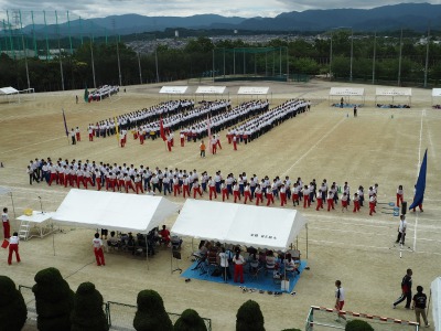 s_P5261084 (800x600).jpg