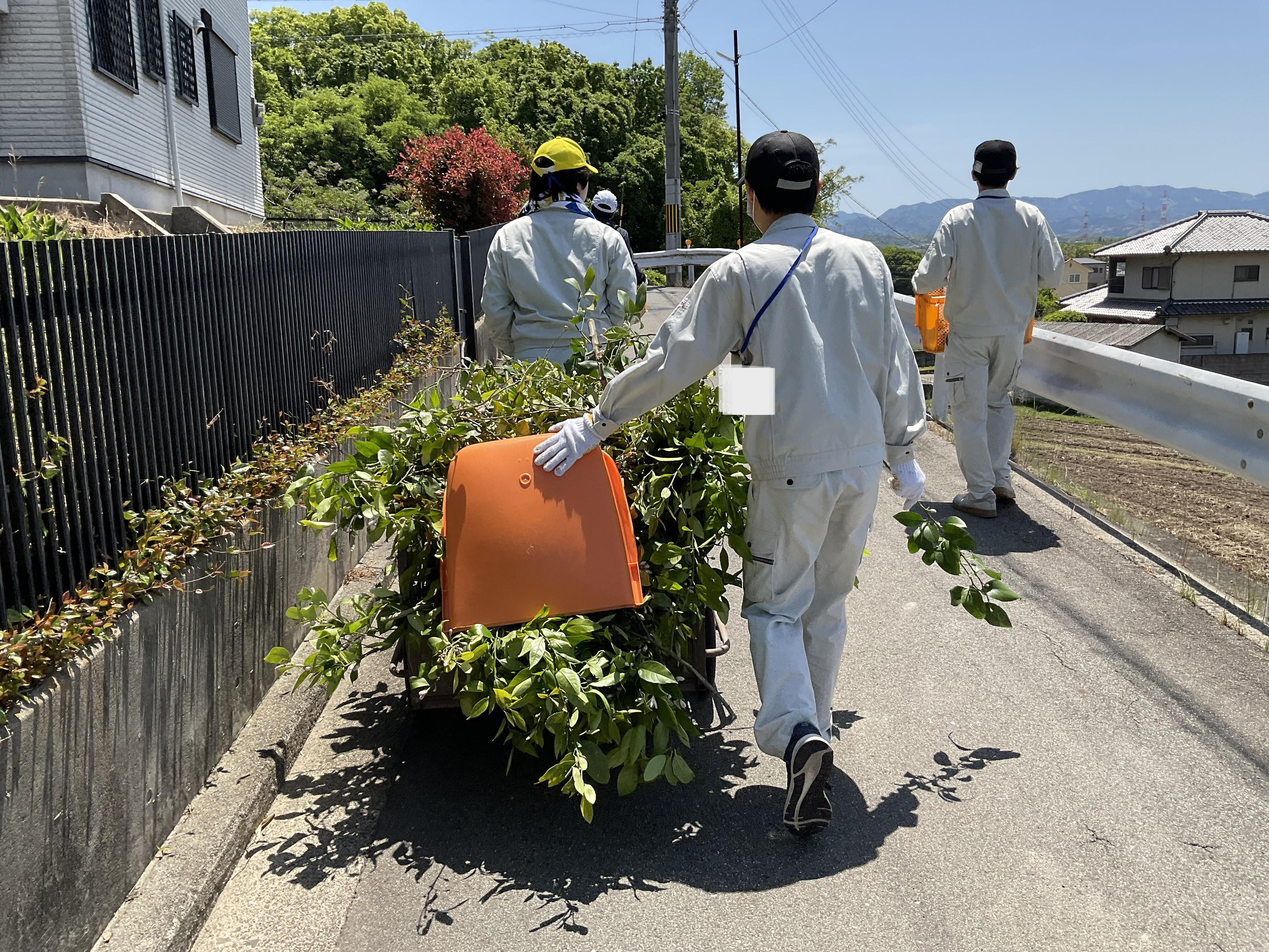 消したやつIMG_7066.JPG