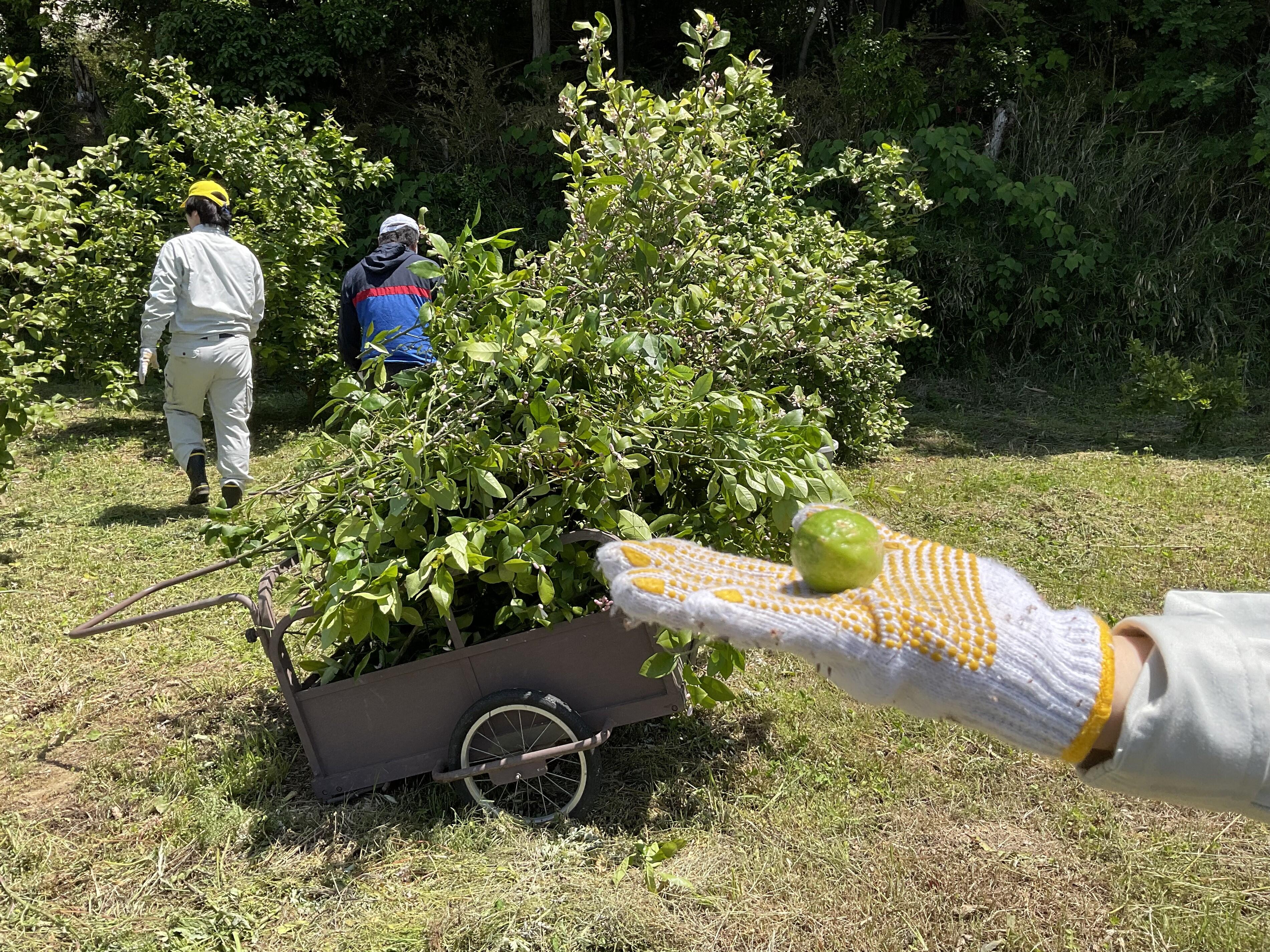 消したやつIMG_7060.JPG