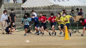 IMG_6864.JPG