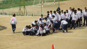 IMG_4662.JPG