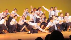 IMG_4863.JPG