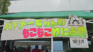 IMG_6260.JPG