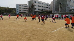 IMG_7232.JPG