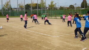 IMG_7236.JPG