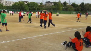 IMG_7281.JPG