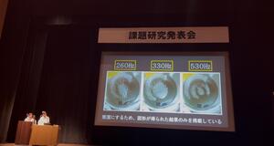 IMG_3460.jpeg