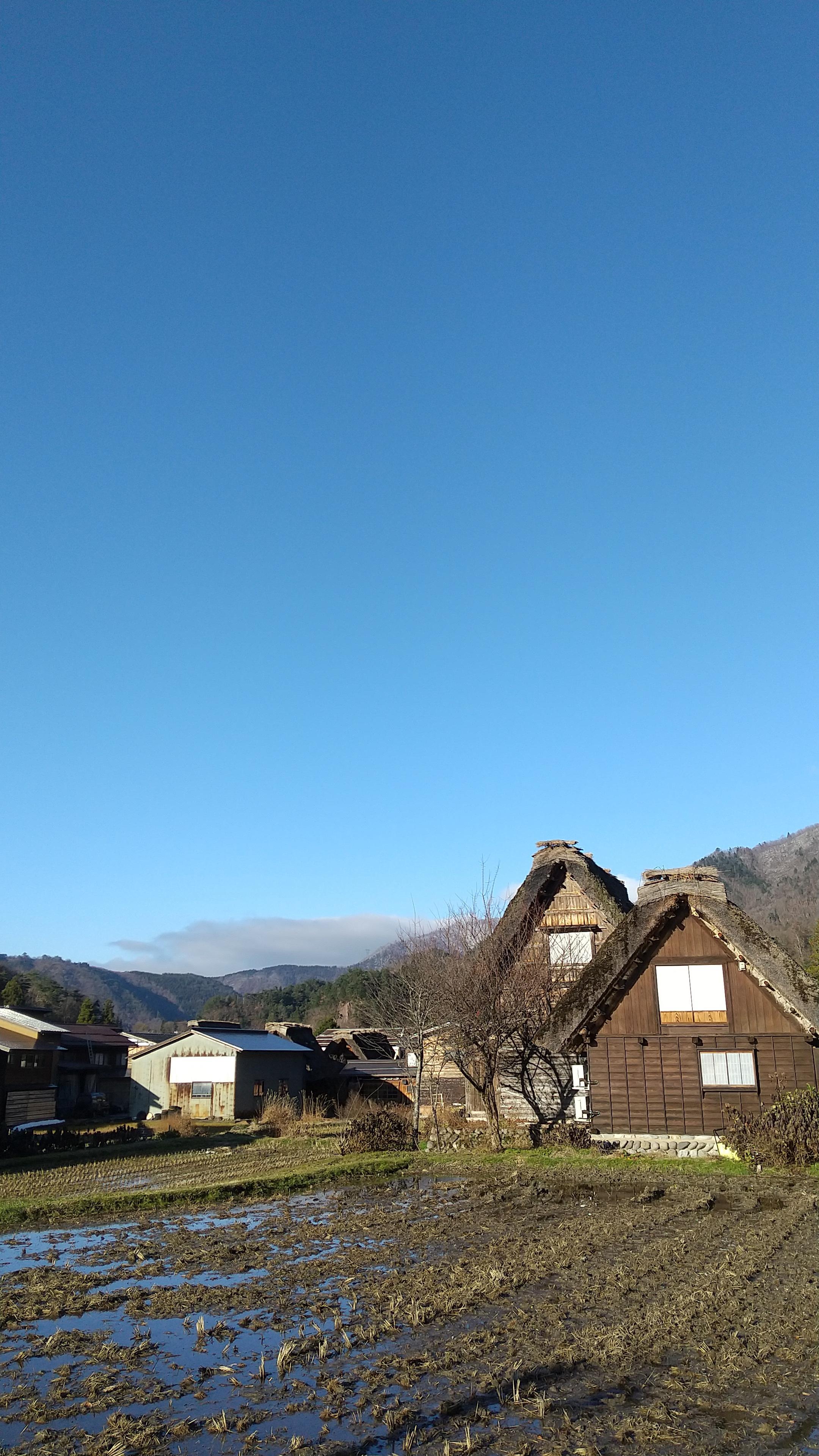 DSC_0019.JPG