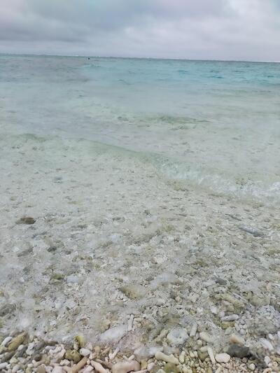 IMG20221203110530.jpg