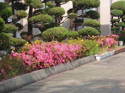 IMG_0433mini.jpg