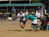 DSC01708.JPG