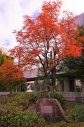DSC04374.JPG